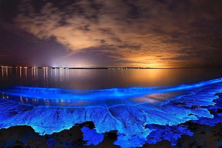 Isla Holbox